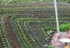 Connells Pointpermaculture-5.jpg; ?>